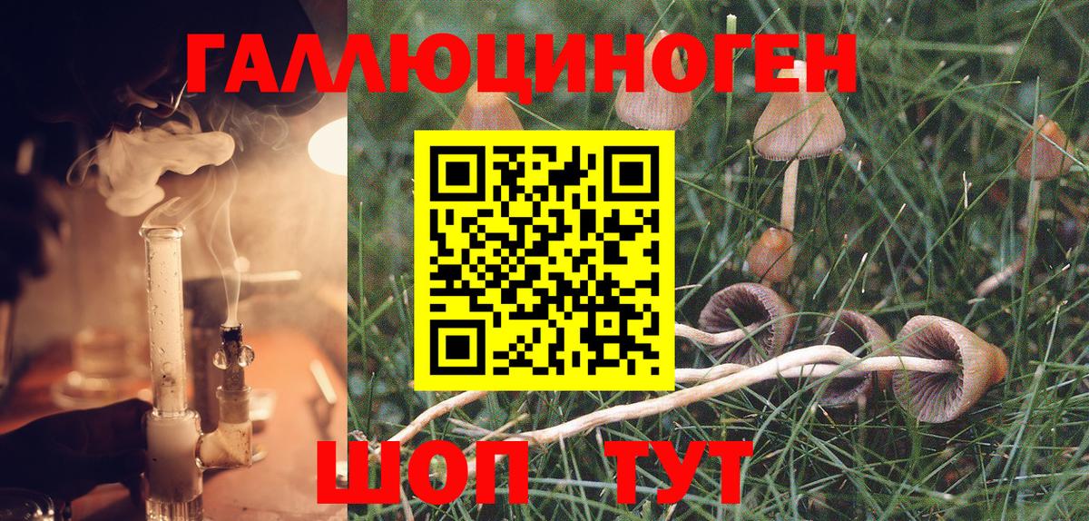 Котовск  Псилоцибиновые грибы Psilocybine cubensis  купить наркотик  Вход с VPN  Галлюциногенные грибы Psilocybine cubensis 